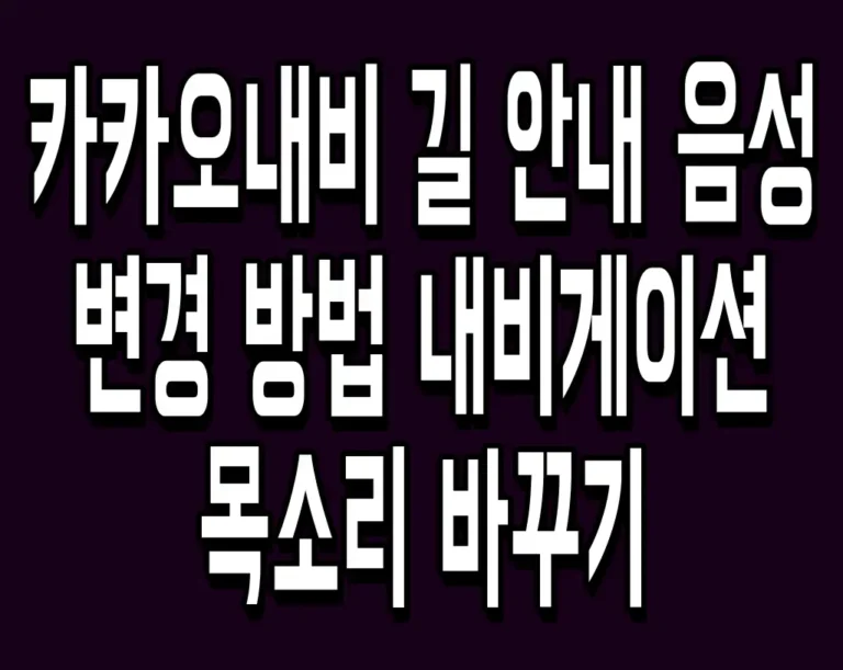 카카오내비 길 안내 음성 변경 방법 내비게이션 목소리 바꾸기