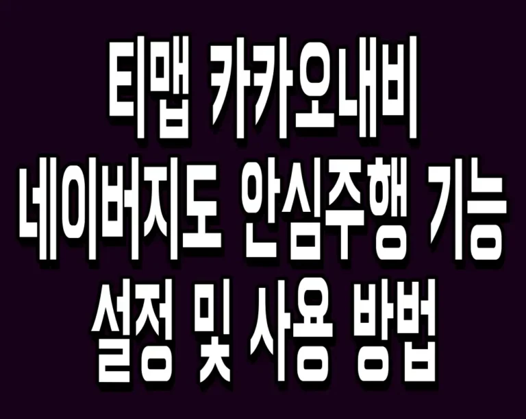 티맵 카카오내비 네이버지도 안심주행 기능 설정 및 사용 방법