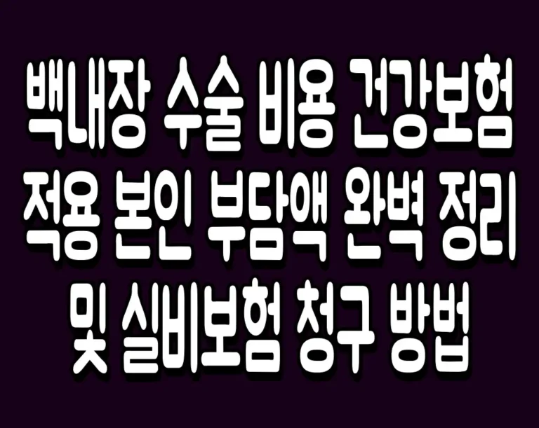 백내장 수술 비용 건강보험 적용 본인 부담액 완벽 정리 및 실비보험 청구 방법