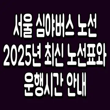 서울 심야버스 노선 2025년 최신 노선표와 운행시간 안내