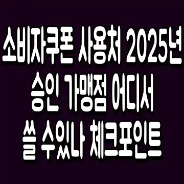 소비자쿠폰 사용처 2025년 승인 가맹점 어디서 쓸 수있나 체크포인트