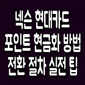 넥슨 현대카드 포인트 현금화 방법 전환 절차 실전 팁