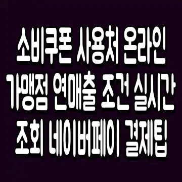 소비쿠폰 사용처 온라인 가맹점 연매출 조건 실시간 조회 네이버페이 결제팁