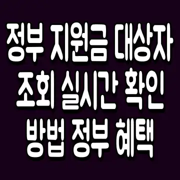 정부 지원금 대상자 조회 실시간 확인 방법 정부 혜택