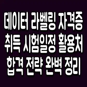 데이터 라벨링 자격증 취득 시험일정 활용처 합격 전략 완벽 정리