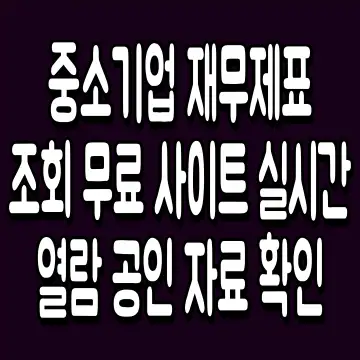 중소기업 재무제표 조회 무료 사이트 실시간 열람 공인 자료 확인