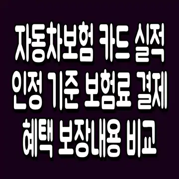 자동차보험 카드 실적 인정 기준 보험료 결제 혜택 보장내용 비교