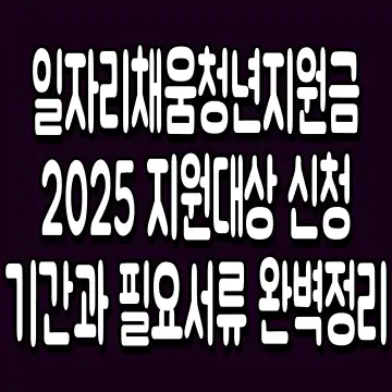 일자리채움청년지원금 2025 지원대상 신청기간과 필요서류 완벽정리