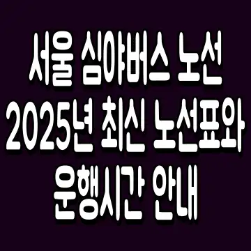 서울 심야버스 노선 2025년 최신 노선표와 운행시간 안내