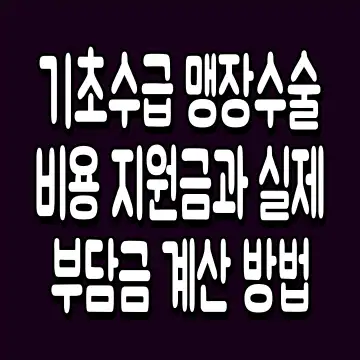 기초수급 맹장수술비용 지원금과 실제 부담금 계산 방법