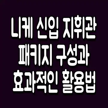 니케 신입 지휘관 패키지 구성과 효과적인 활용법
