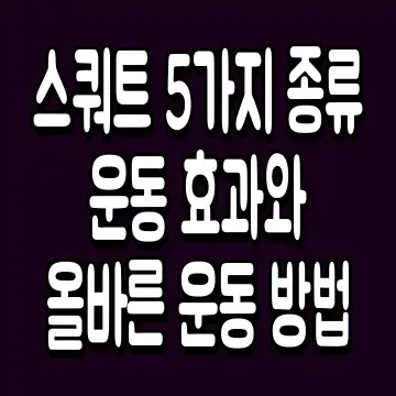 스쿼트 5가지 종류 운동 효과와 올바른 운동 방법