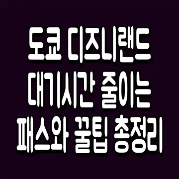 도쿄 디즈니랜드 대기시간 줄이는 패스와 꿀팁 총정리