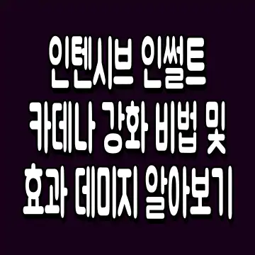 인텐시브 인썰트 카데나 강화 비법 및 효과 데미지 알아보기