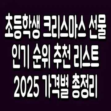 초등학생 크리스마스 선물 인기 순위 추천 리스트 2025 가격별 총정리