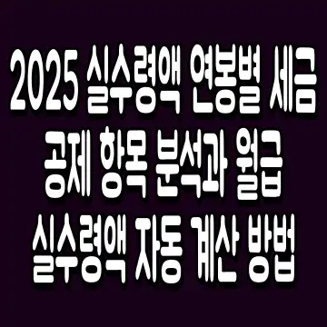2025 실수령액 연봉별 세금 공제 항목 분석과 월급 실수령액 자동 계산 방법