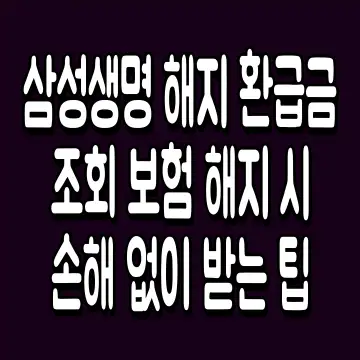 삼성생명 해지 환급금 조회 보험 해지 시 손해 없이 받는 팁