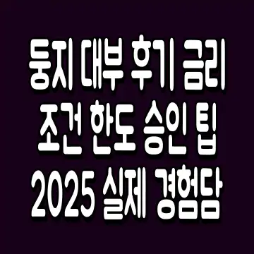 둥지 대부 후기 금리 조건 한도 승인 팁 2025 실제 경험담