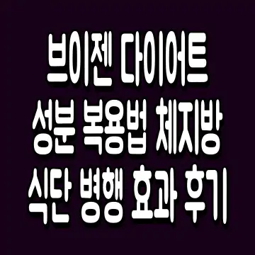 브이젠 다이어트 성분 복용법 체지방 식단 병행 효과 후기