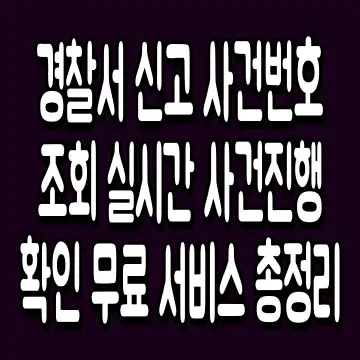 경찰서 신고 사건번호 조회 실시간 사건진행 확인 무료 서비스 총정리