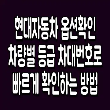 현대자동차 옵션확인 차량별 등급 차대번호로 빠르게 확인하는 방법