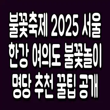 불꽃축제 2025 서울 한강 여의도 불꽃놀이 명당 추천 꿀팁 공개