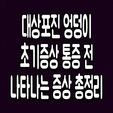 대상포진 엉덩이 초기증상 통증 전 나타나는 증상 총정리