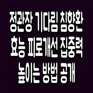 정관장 기다림 침향환 효능 피로개선 집중력 높이는 방법 공개