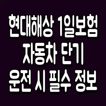 현대해상 1일보험 자동차 단기 운전 시 필수 정보