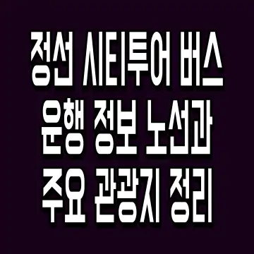 정선 시티투어 버스 운행 정보 노선과 주요 관광지 정리