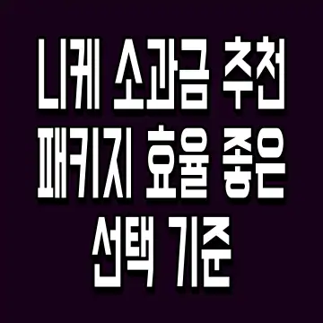 니케 소과금 추천 패키지 효율 좋은 선택 기준