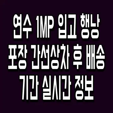 연수 1MP 입고 행낭포장 간선상차 후 배송기간 실시간 정보