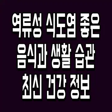 역류성 식도염 좋은 음식과 생활 습관 최신 건강 정보