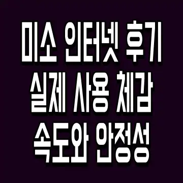 미소 인터넷 후기 실제 사용 체감 속도와 안정성
