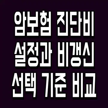 암보험 진단비 설정과 비갱신 선택 기준 비교