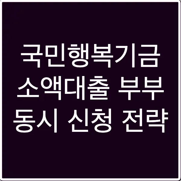 국민행복기금 소액대출 부부 동시 신청 전략