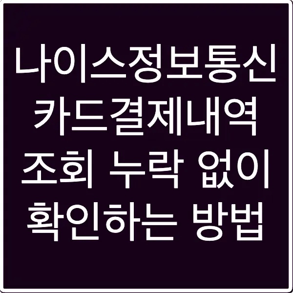 나이스정보통신 카드결제내역 조회 누락 없이 확인하는 방법