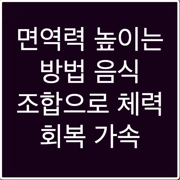 면역력 높이는 방법 음식 조합으로 체력 회복 가속