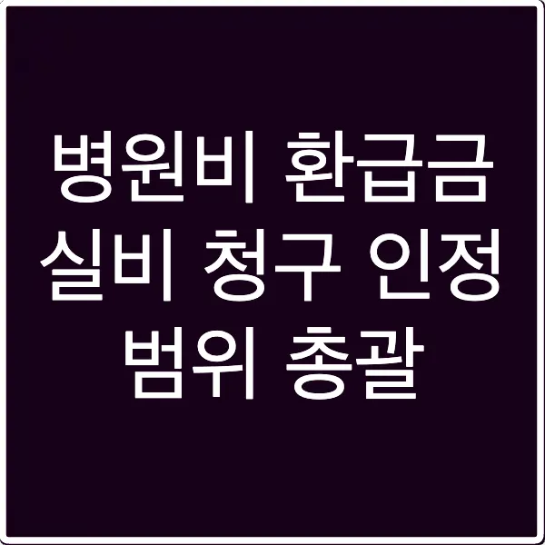 병원비 환급금 실비 청구 인정 범위 총괄