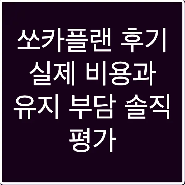 쏘카플랜 후기 실제 비용과 유지 부담 솔직 평가