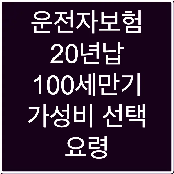 운전자보험 20년납 100세만기 가성비 선택 요령