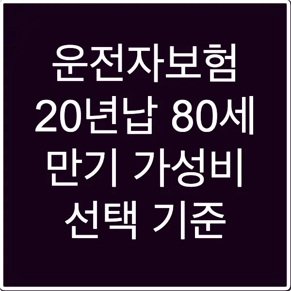 운전자보험 20년납 80세 만기 가성비 선택 기준