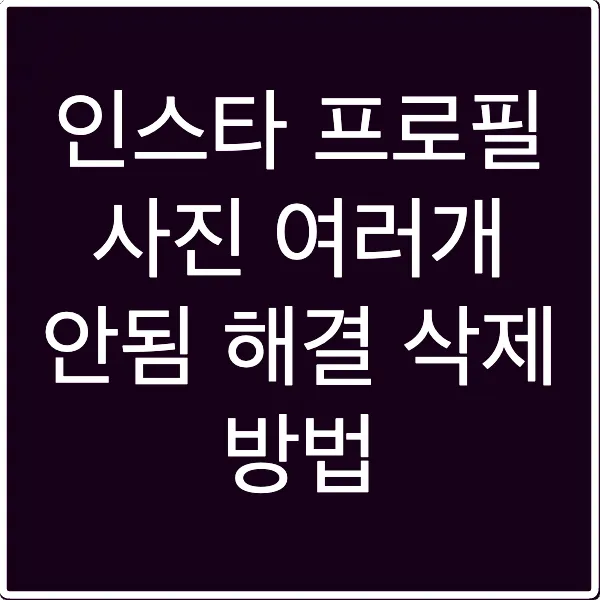 인스타 프로필 사진 여러개 안됨 해결 삭제 방법
