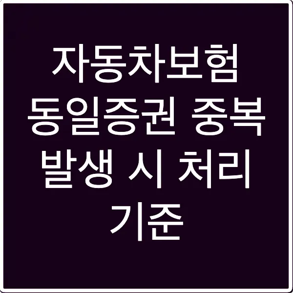 자동차보험 동일증권 중복 발생 시 처리 기준