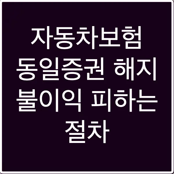 자동차보험 동일증권 해지 불이익 피하는 절차