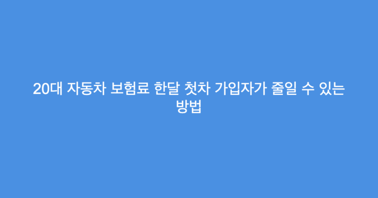 20대 자동차 보험료 한달 첫차 가입자가 줄일 수 있는 방법