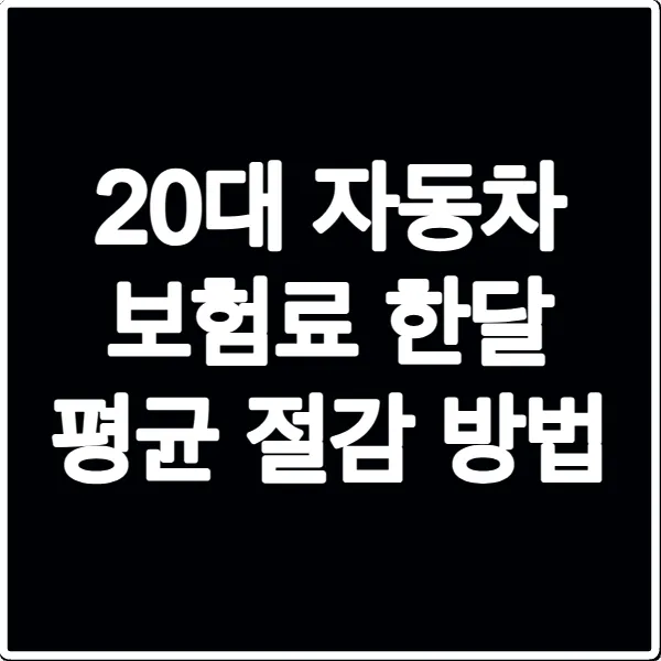 20대 자동차 보험료 한달 평균 절감 방법