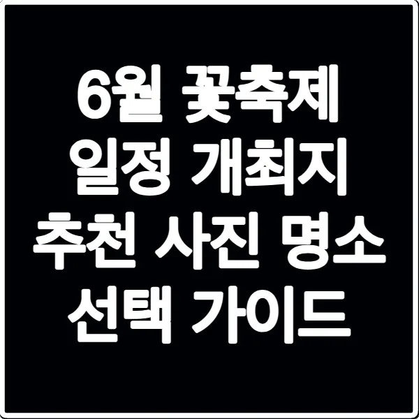 6월 꽃축제 일정 개최지 추천 사진 명소 선택 가이드