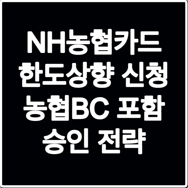 NH농협카드 한도상향 신청 농협BC 포함 승인 전략