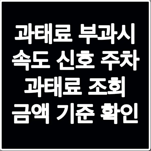 과태료 부과시 속도 신호 주차 과태료 조회 금액 기준 확인